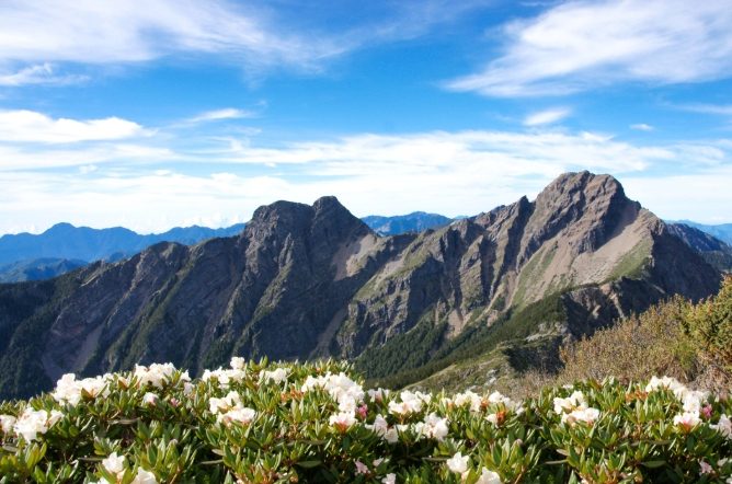 玉山觀峰景點 玉山觀峰景點