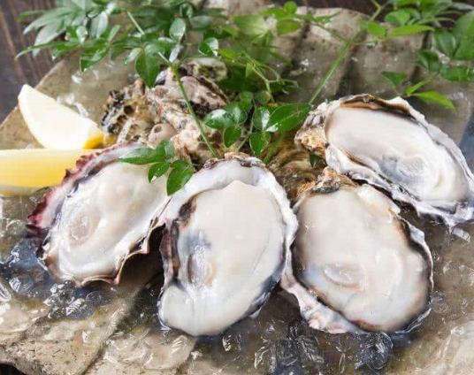 廣島美食 廣島美食