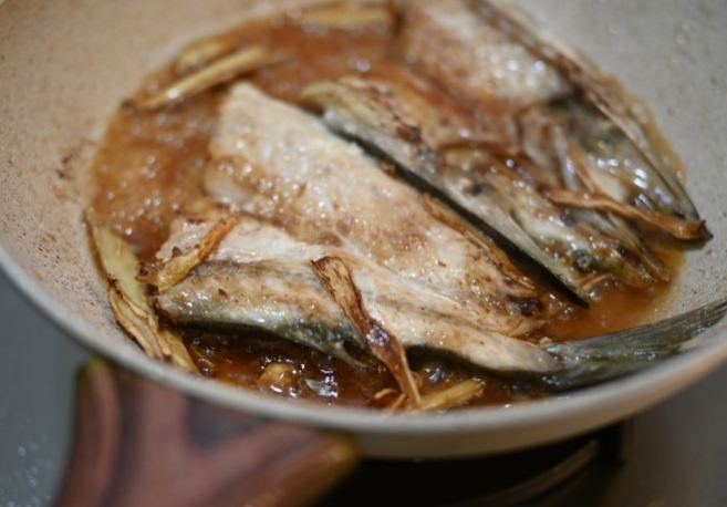 尖梭魚 尖梭魚