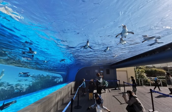 太陽城水族館 太陽城水族館