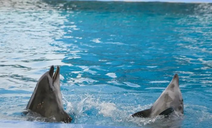 名古屋水族館