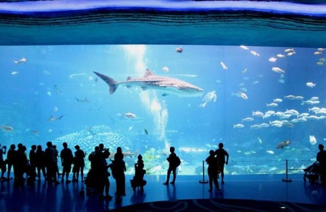 杰森海洋館 杰森海洋館