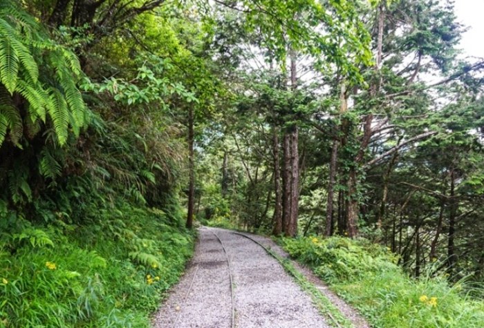 見晴懷古步道 見晴懷古步道