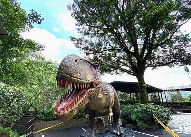 大板根森林遊樂園