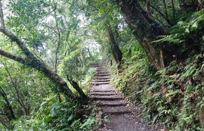 聖母山莊登山步道 聖母山莊登山步道