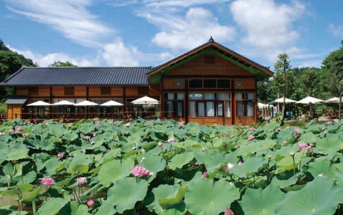 桃米生態村 桃米生態村