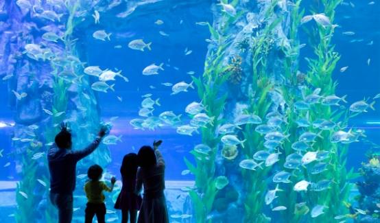 樂天水族館 樂天水族館