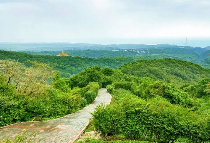 茶山步道 茶山步道