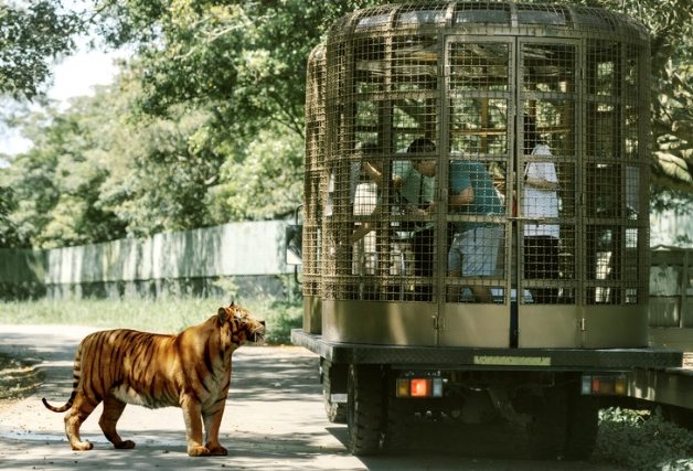 六福村動物園 六福村動物園