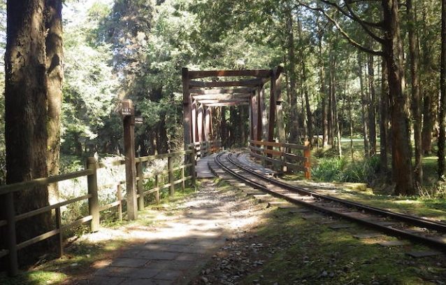 水山巨木步道