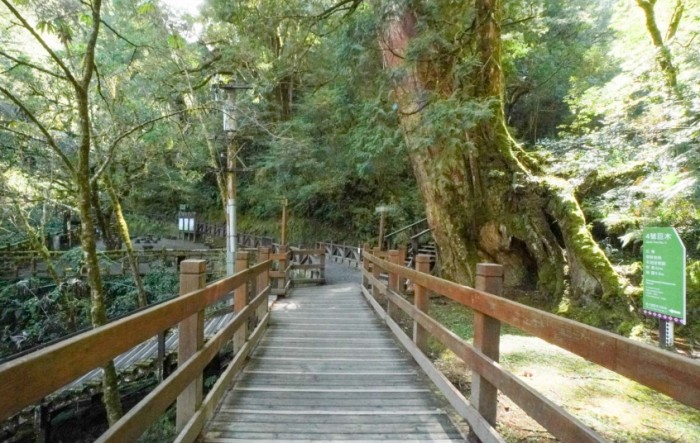 拉拉山森林遊樂區 拉拉山森林遊樂區
