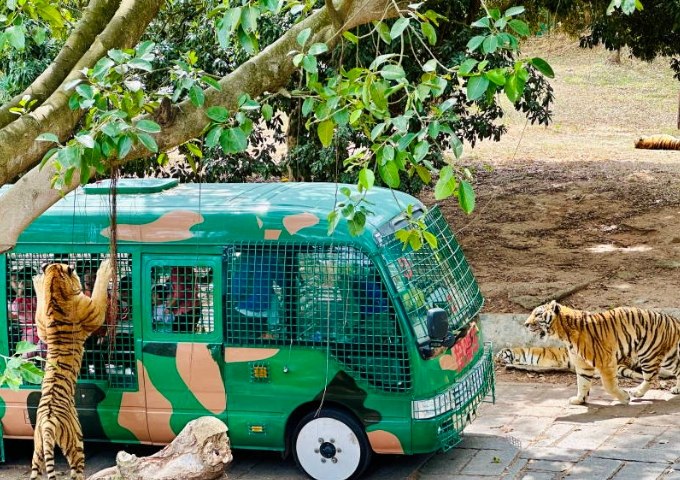 深圳野生動物園 深圳野生動物園