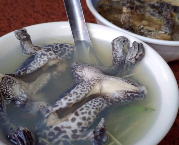 青蛙湯 青蛙湯