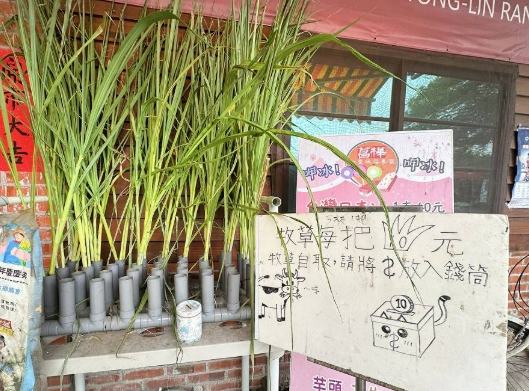 泳霖牧場 泳霖牧場