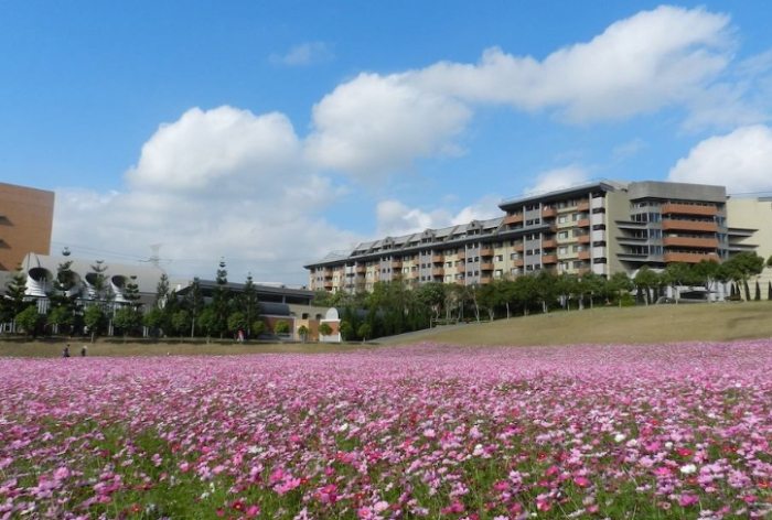 長庚養生村 長庚養生村
