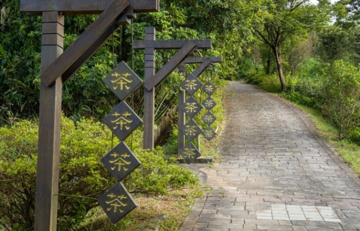 茶山步道 茶山步道