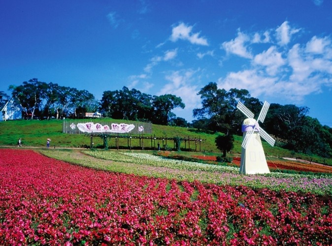 桃園親子樂園 桃園親子樂園