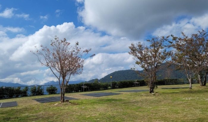 雲河露營農場 雲河露營農場