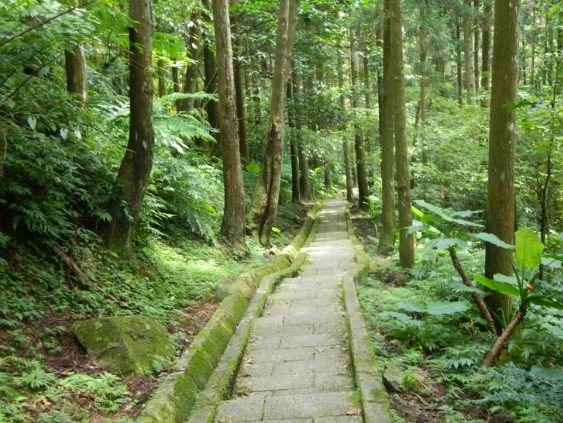 滿月圓森林遊樂區