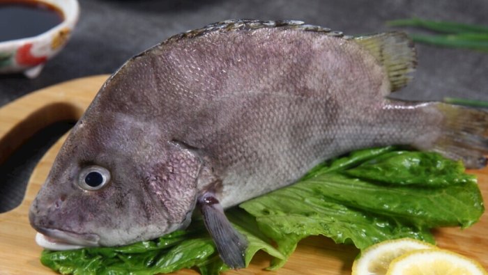 包公魚 包公魚