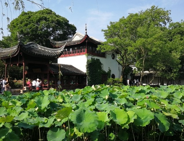 蘇州博物館 蘇州博物館