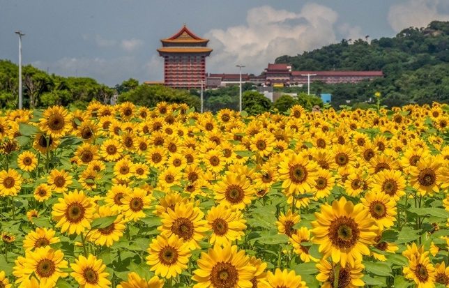 三重景點 三重景點