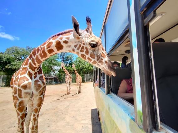 福岡動物園 福岡動物園