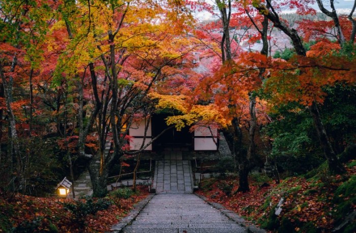 常寂光寺 常寂光寺