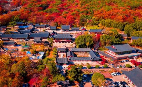 梵魚寺