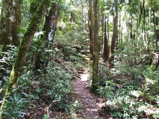 民都有山 民都有山