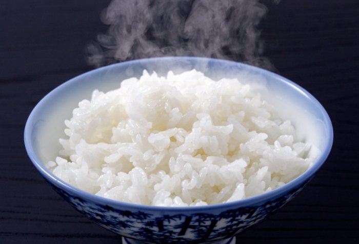 白飯熱量 白飯熱量