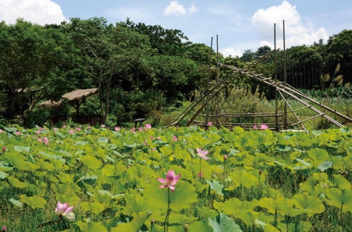 桃米生態村