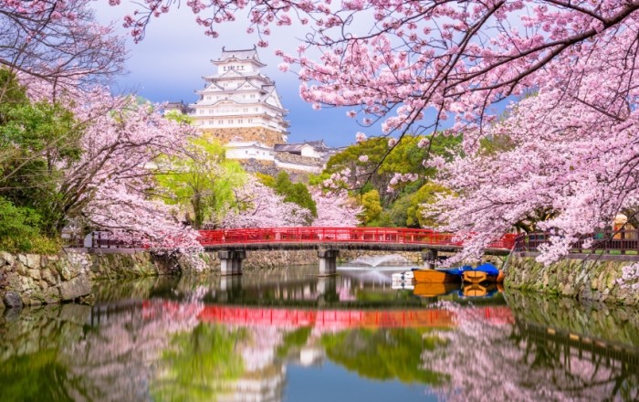日本旅遊東京 日本旅遊東京