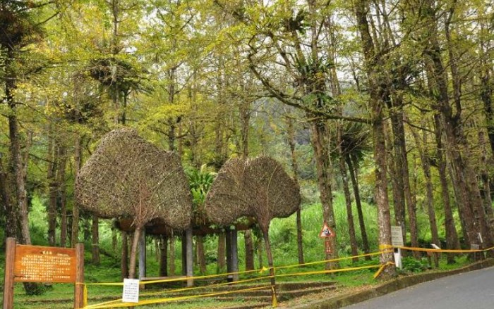 溪頭老爺山莊 溪頭老爺山莊