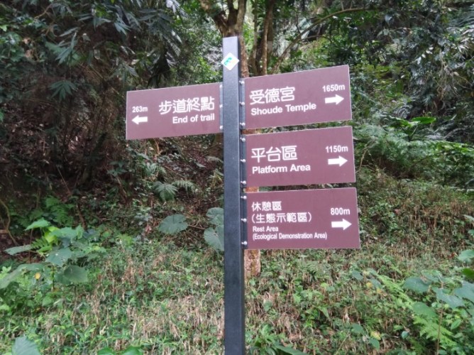 坑內坑森林步道 坑內坑森林步道