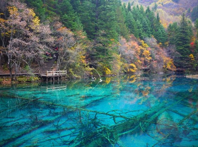 九寨溝旅遊 九寨溝旅遊