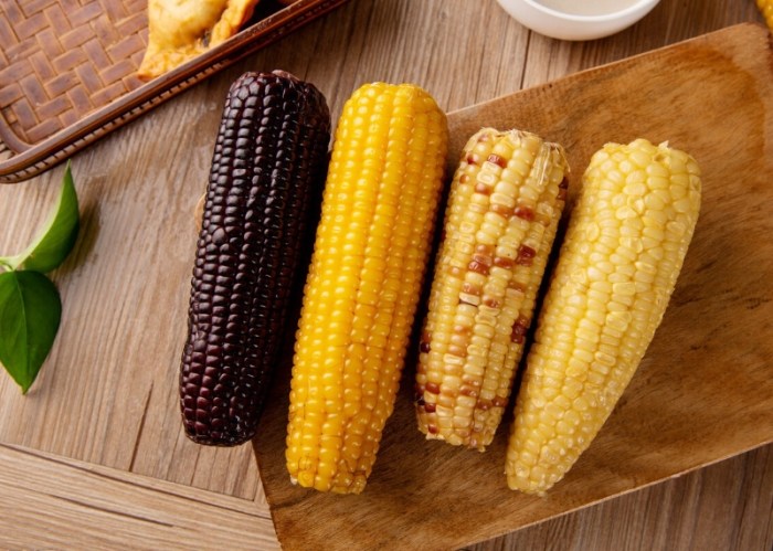 玉米熱量 玉米熱量