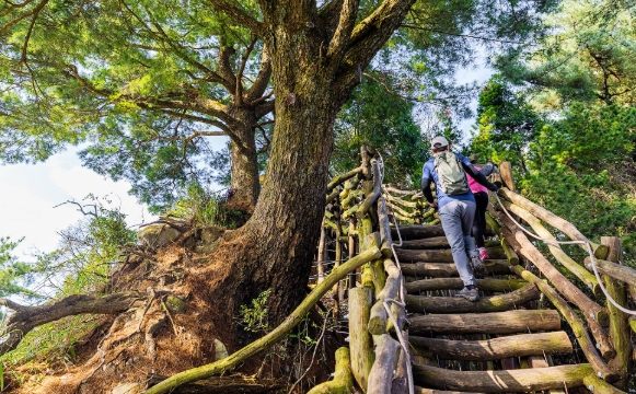 烘爐地登山步道 烘爐地登山步道