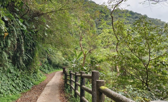 信賢步道 信賢步道