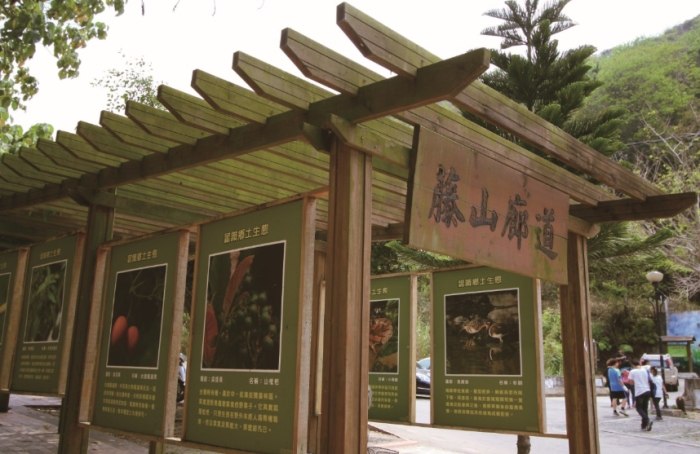 藤山步道 藤山步道