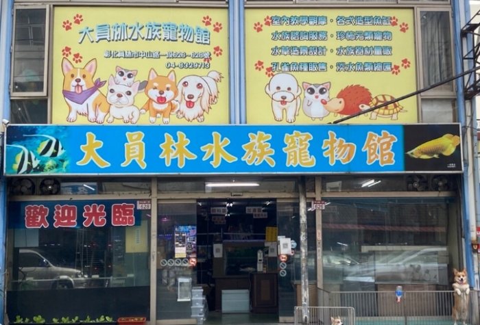 員林水族館 員林水族館