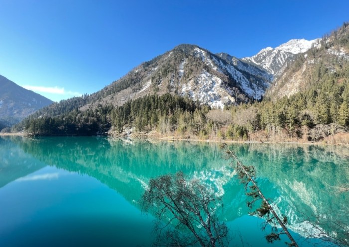 大陸景點：黃山雲海×九寨溝重生×張家界懸浮山秘境攻略與避坑指南