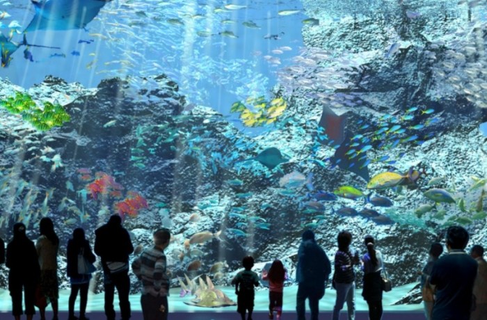 青埔水族館 青埔水族館