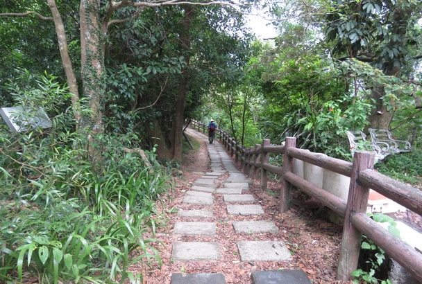 烘爐地登山步道 烘爐地登山步道