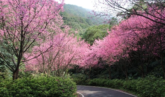 三芝景點