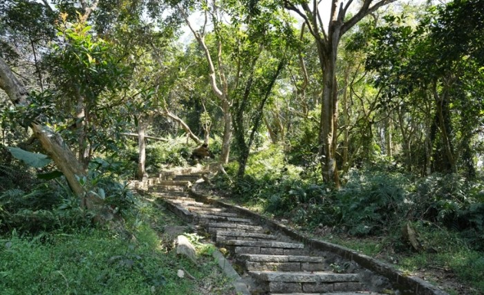 石硦林場 石硦林場