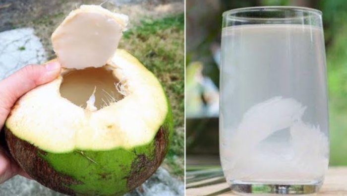 椰青水功效 椰青水功效