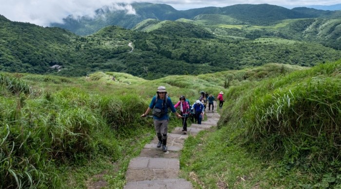 七星山步道 七星山步道