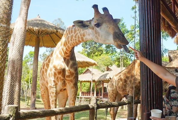 富國島動物園 富國島動物園