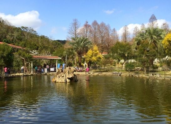 九芎湖 九芎湖